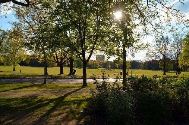 Uitzicht op het grote grasveld van Goffertpark Nijmegen
